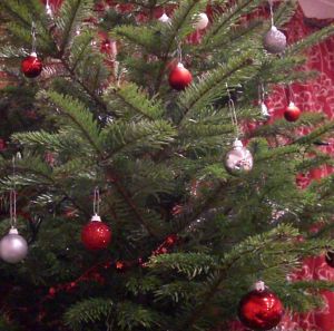 Part of a partially decorated real Christmas tree
