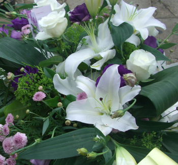 Bouquet of white flowers